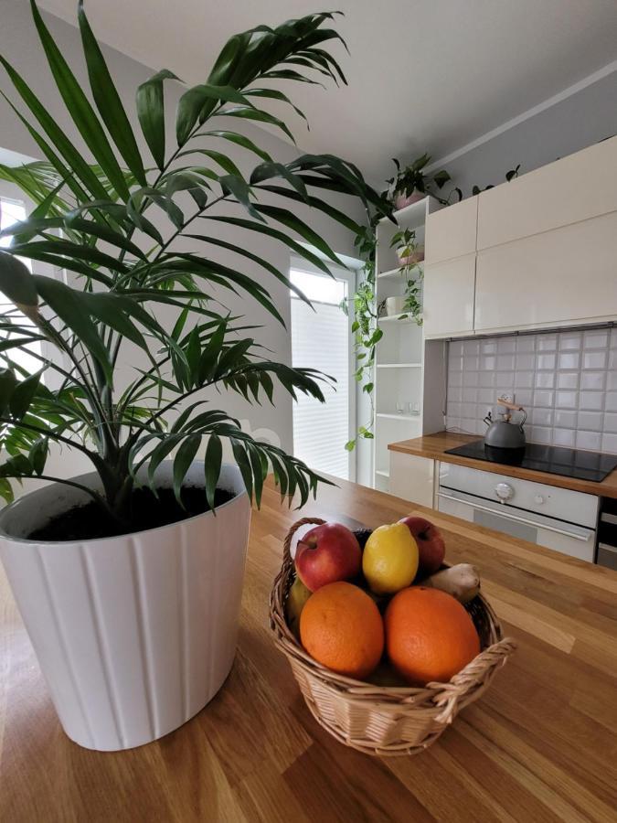 Maciejkowa Apartment Szczecin Exterior photo
